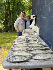 5 huge fish caught while fishing in MS