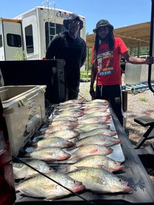 Two white crappie fish caught in MS