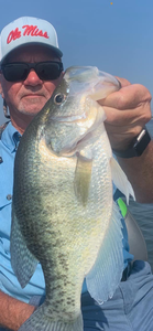 White crappie fish caught in Batesville
