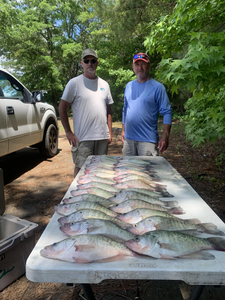 Two white crappie fish caught in Batesville