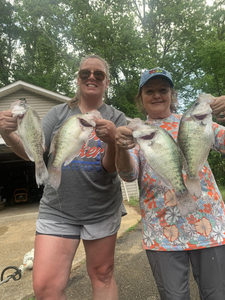 4 white crappie fish caught in MS