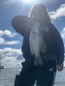 Photograph of a white crappie fish caught in MS