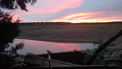 Hunting adventure in AZ
