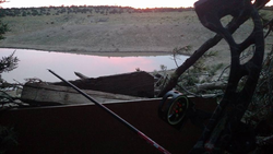 Hunting in AZ