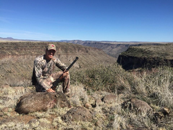 Hunting adventure in Waddell