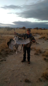 Solo hunter in Waddell