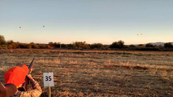 Scenic view of Waddell