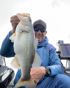 Lake Marion Bass Fishing
