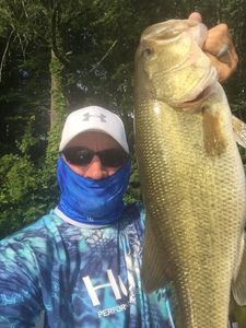 A lone angler reeling in a catch in SC