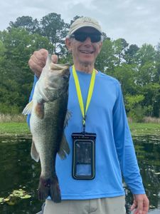 Angler holding large bass catch while standing in water near North Myrtle Beach SC
