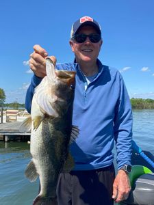 Large bass caught fishing in North Myrtle Beach SC