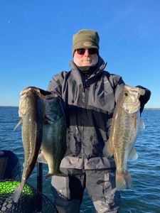 Angler displaying multiple caught bass fish on boat in North Myrtle Beach SC waters