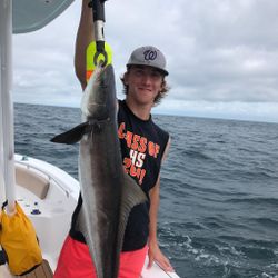 Cobia fish caught in SC