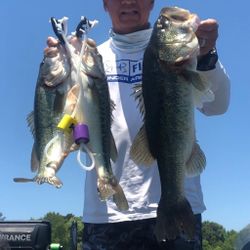 3 Florida bass caught fishing in SC