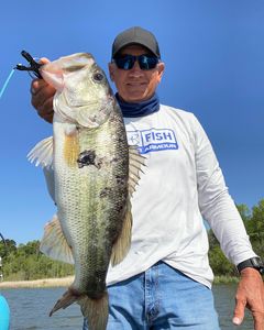 Angler with a big 28-inch fish caught in SC