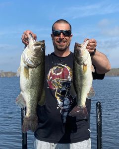 Two barramundi and largemouth bass caught in SC
