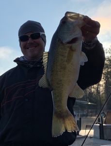 Largemouth Bass caught in SC while fishing