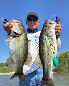 Two largemouth bass caught while fishing in SC