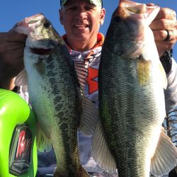Two largemouth bass caught fishing in SC