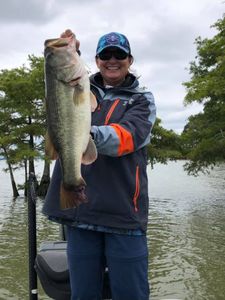 Largemouth Bass caught in North Myrtle Beach