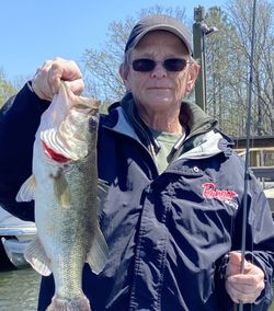 A person fishing for a largemouth bass in North Myrtle Beach
