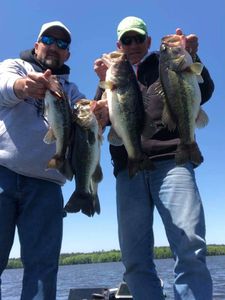 4 largemouth bass caught fishing in north myrtle beach