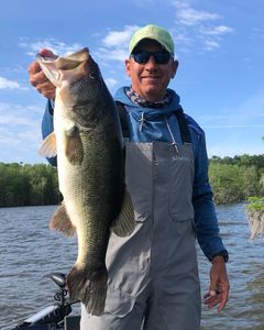 Largemouth Bass fish caught in North Myrtle Beach