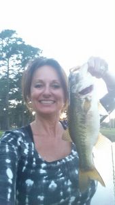 Largemouth bass caught in SC
