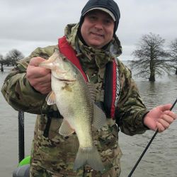 Largemouth Bass caught while fishing in South Carolina