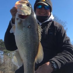 Largemouth bass caught in SC