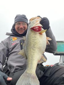 Large bass caught while fishing in North Myrtle Beach SC