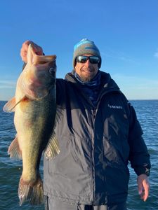 Large bass caught while fishing in North Myrtle Beach SC waters