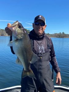 Angler holding large bass fish on boat in North Myrtle Beach SC waters