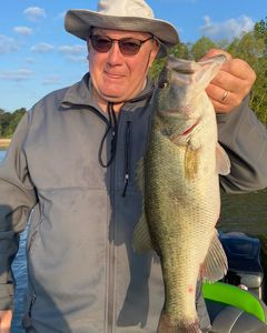One angler fishing in SC