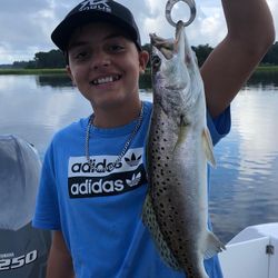 Spotted Weakfish caught while fishing in North Myrtle Beach