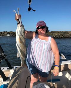 Striped bass caught in North Myrtle Beach