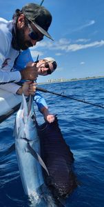 Chasing trophy sailfish in Pompano Beach.
