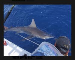 Epic day on the water! Shark fishing in Pompano FL