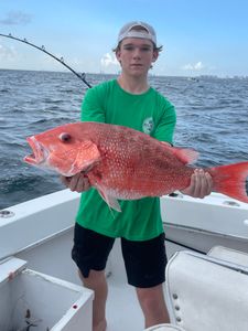 Nice Snapper caught today