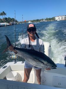 nice black fin tuna
