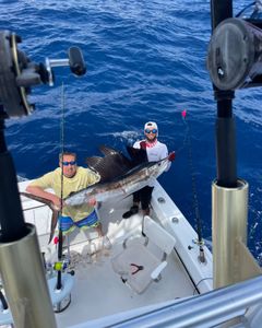 Angler with a massive Atlantic sailfish caught while fishing in FL