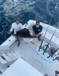 Angler holding a massive Atlantic Sailfish caught in Pompano Beach