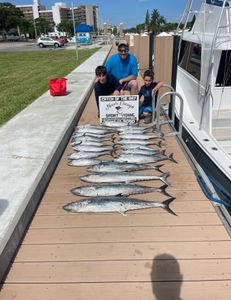 4 magnificent king mackerel, wahoo, and yellowfin tuna fish caught in FL