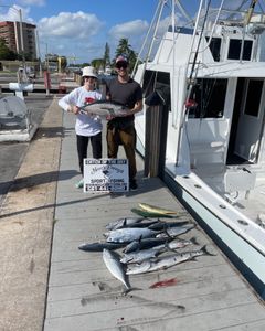 Three blackfin tuna and great barracuda fish caught while fishing in FL