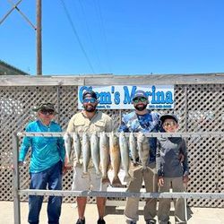 Explore Inshore Fishing Delights Here