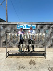 Caught a black drum fish in Corpus Christi