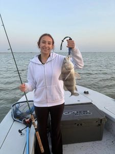 Angler holding a black drum fish in TX