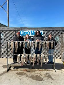 Three black drum fish caught by four people fishing in Corpus Christi
