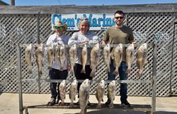 Black drum and redfish catch displayed on cleaning station in Corpus Christi TX