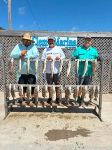 Fishing catch display showing Black Drum and Speckled Trout from Corpus Christi TX at marina cleaning station